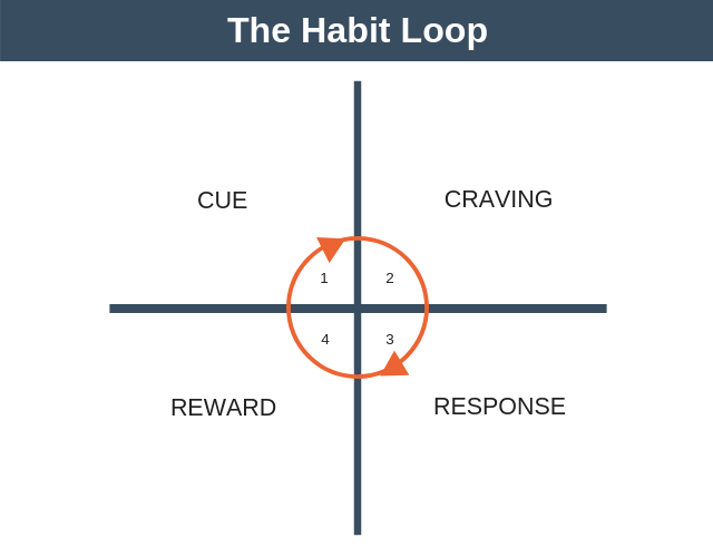 Loop