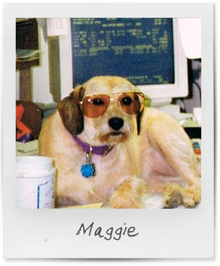 Maggie the dog Hillside Dogs